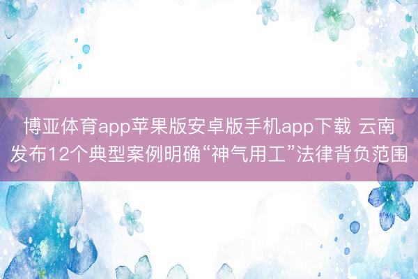 博亚体育app苹果版安卓版手机app下载 云南发布12个典型案例明确“神气用工”法律背负范围
