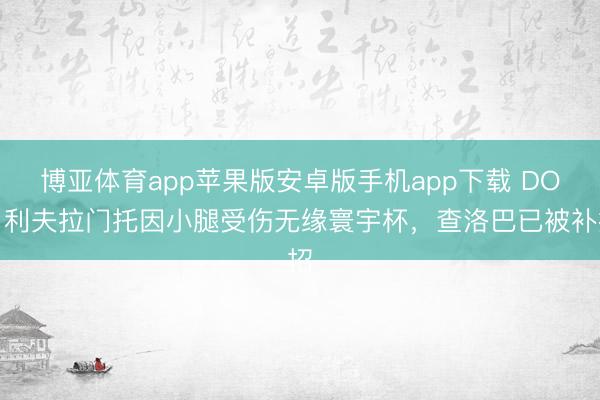 博亚体育app苹果版安卓版手机app下载 DO：利夫拉门托因小腿受伤无缘寰宇杯，查洛巴已被补招