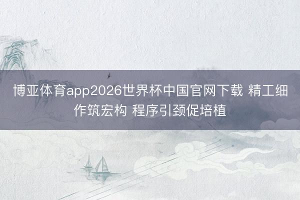 博亚体育app2026世界杯中国官网下载 精工细作筑宏构 程序引颈促培植